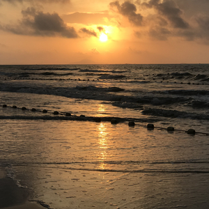 嘼皇Ⅴideos另类老少配
