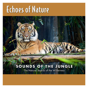 嘼皇Ⅴideos另类老少配
